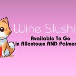 Wine Slushies